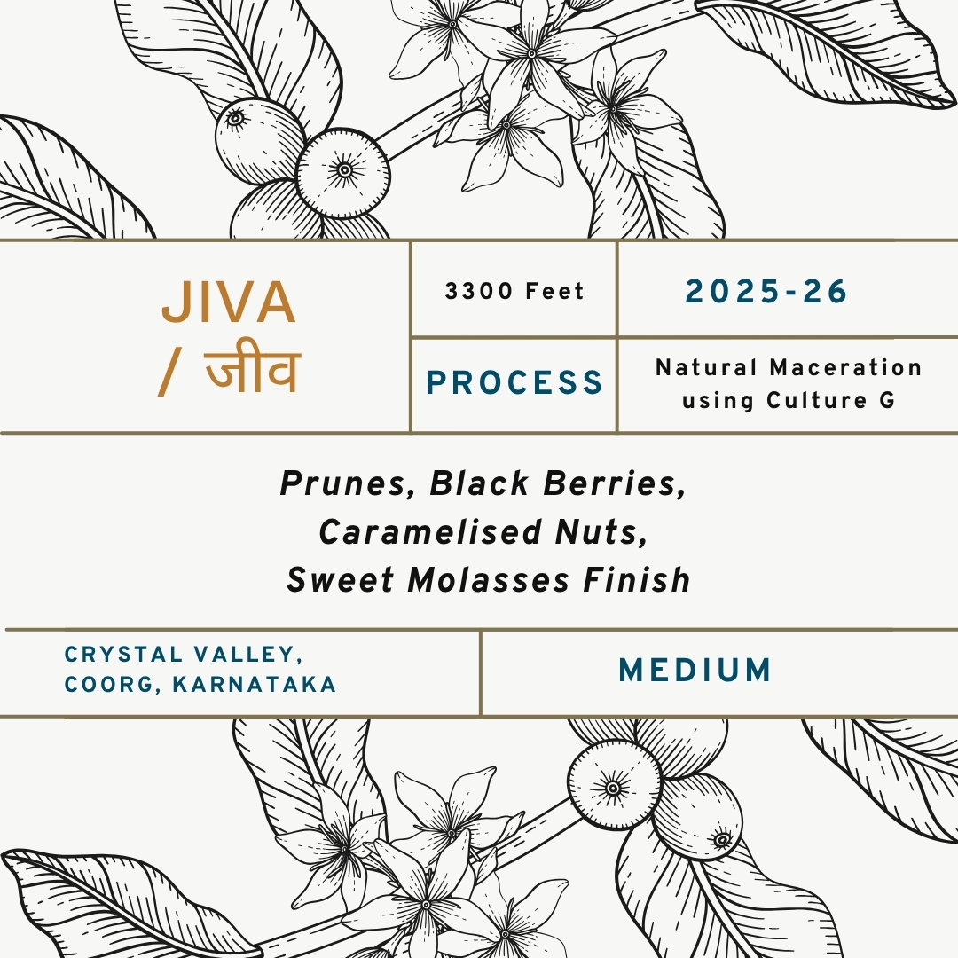 JIVA _ जीव (1)